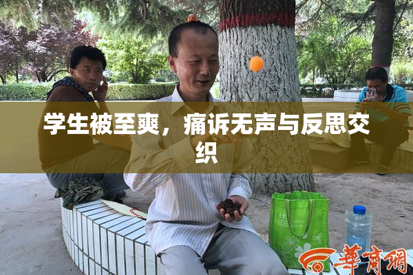 学生被至爽，痛诉无声与反思交织