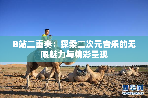 B站二重奏：探索二次元音乐的无限魅力与精彩呈现