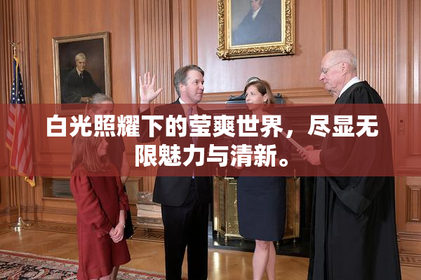 白光照耀下的莹爽世界，尽显无限魅力与清新。