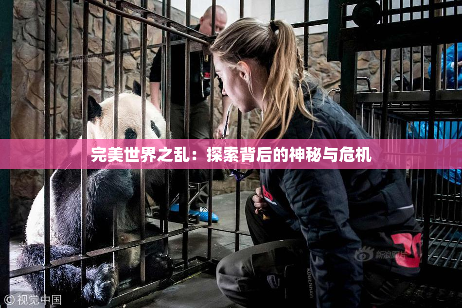 完美世界之乱：探索背后的神秘与危机