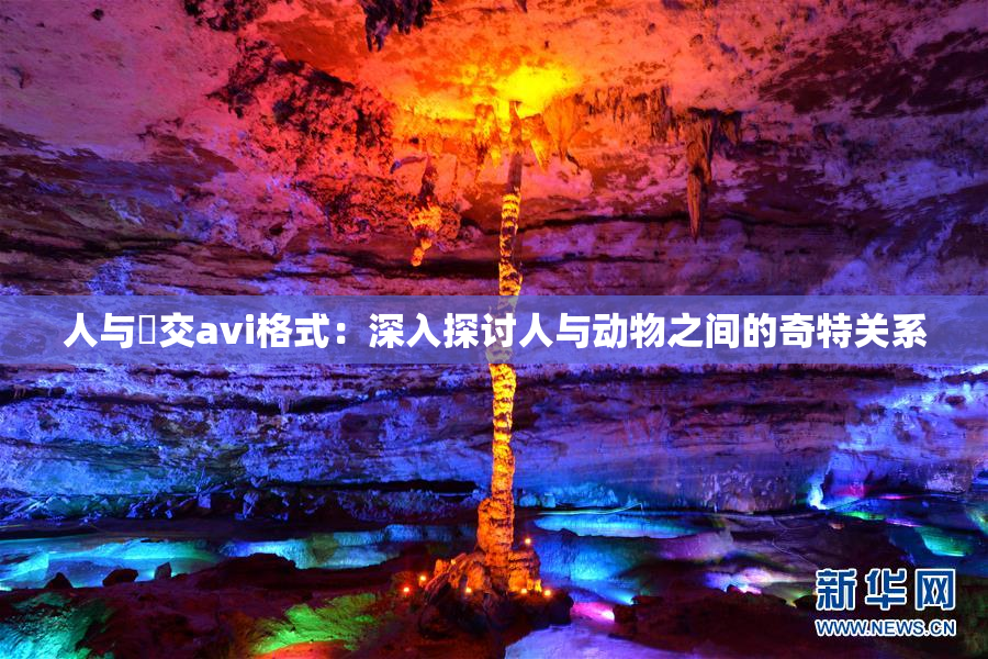 人与嘼交avi格式：深入探讨人与动物之间的奇特关系