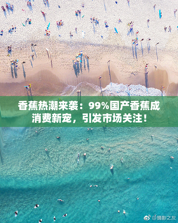 香蕉热潮来袭：99%国产香蕉成消费新宠，引发市场关注！
