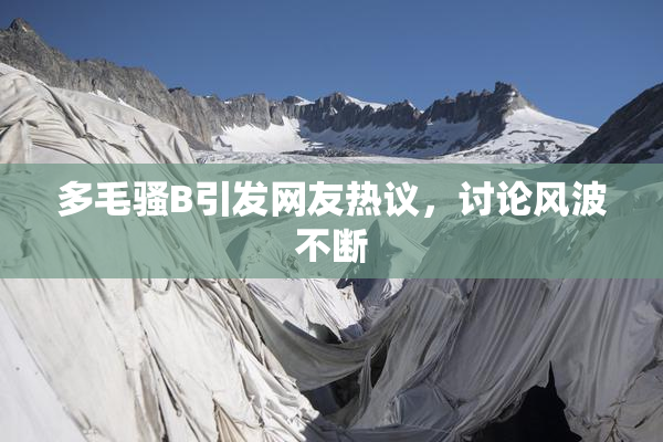 多毛骚B引发网友热议，讨论风波不断