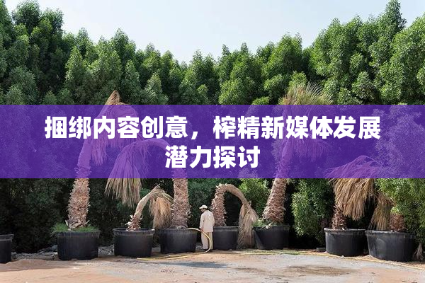 捆绑内容创意，榨精新媒体发展潜力探讨