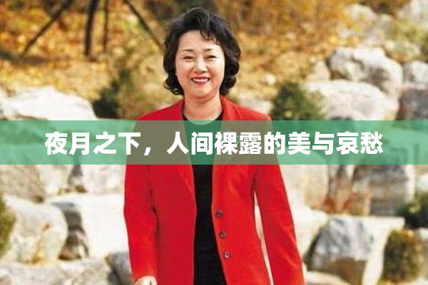 夜月之下，人间裸露的美与哀愁