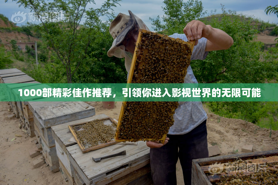 1000部精彩佳作推荐，引领你进入影视世界的无限可能