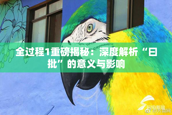 全过程1重磅揭秘：深度解析“曰批”的意义与影响
