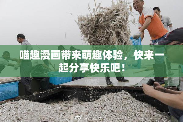 喵趣漫画带来萌趣体验，快来一起分享快乐吧！