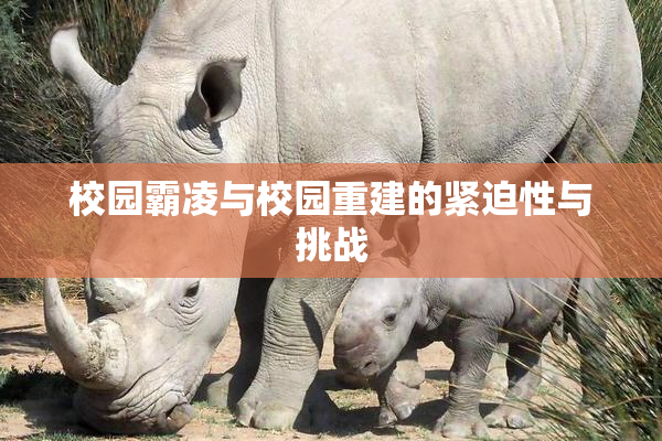 校园霸凌与校园重建的紧迫性与挑战