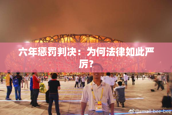 六年惩罚判决：为何法律如此严厉？