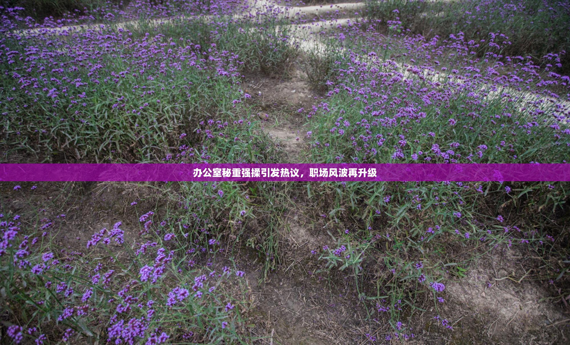 办公室秘重强揉引发热议，职场风波再升级