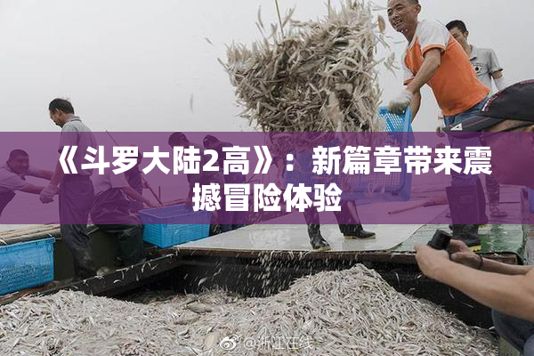 《斗罗大陆2高》：新篇章带来震撼冒险体验