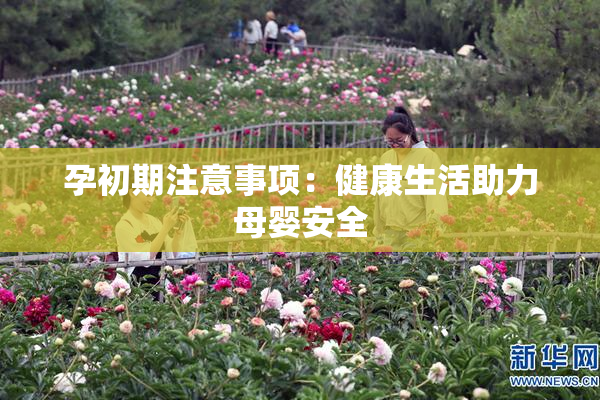 孕初期注意事项：健康生活助力母婴安全