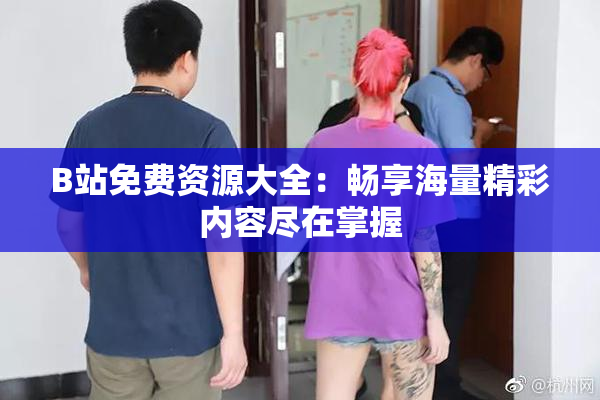 B站免费资源大全：畅享海量精彩内容尽在掌握