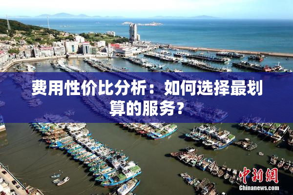 费用性价比分析：如何选择最划算的服务？
