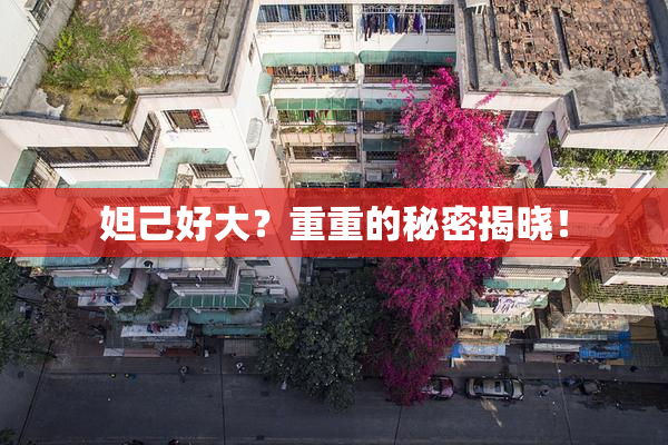 妲己好大？重重的秘密揭晓！