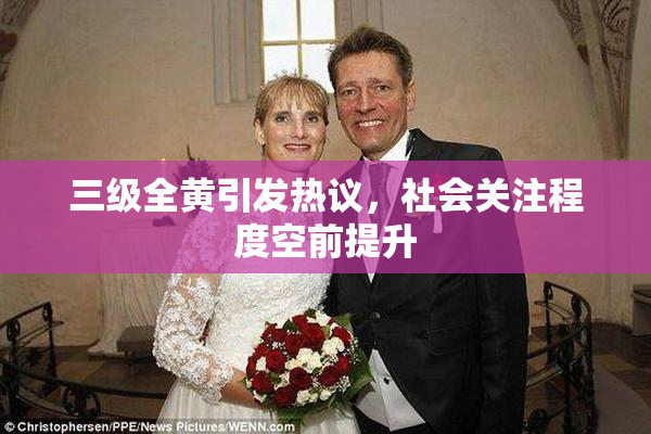三级全黄引发热议，社会关注程度空前提升