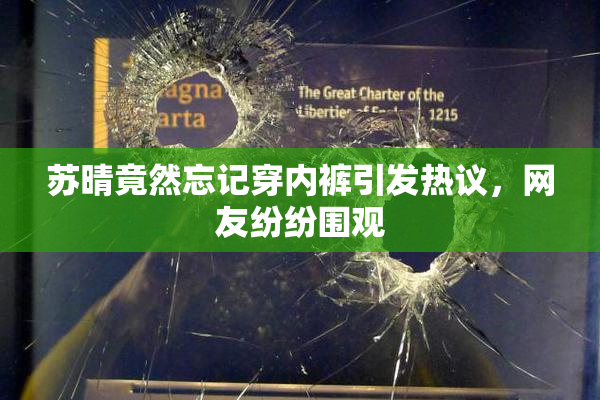 苏晴竟然忘记穿内裤引发热议，网友纷纷围观