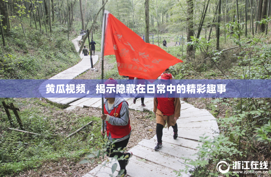 黄瓜视频，揭示隐藏在日常中的精彩趣事