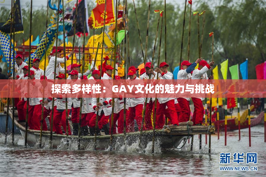 探索多样性：GAY文化的魅力与挑战