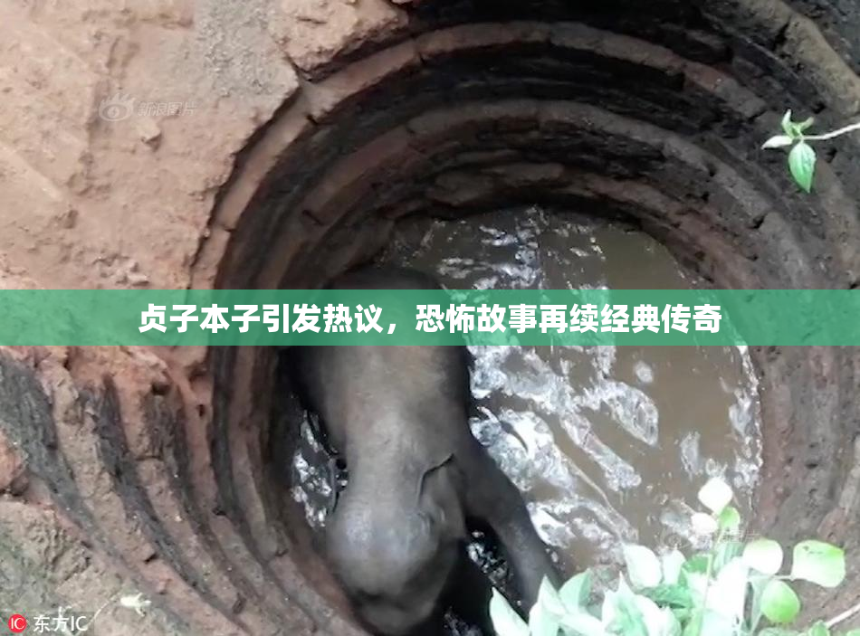 贞子本子引发热议，恐怖故事再续经典传奇
