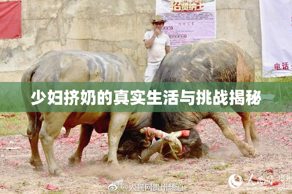 少妇挤奶的真实生活与挑战揭秘