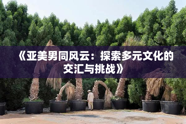 《亚美男同风云：探索多元文化的交汇与挑战》