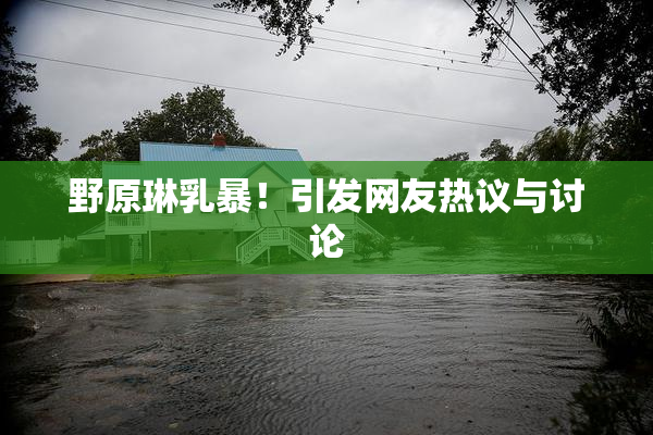 野原琳乳暴！引发网友热议与讨论