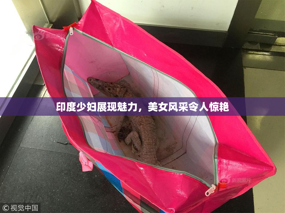 印度少妇展现魅力，美女风采令人惊艳