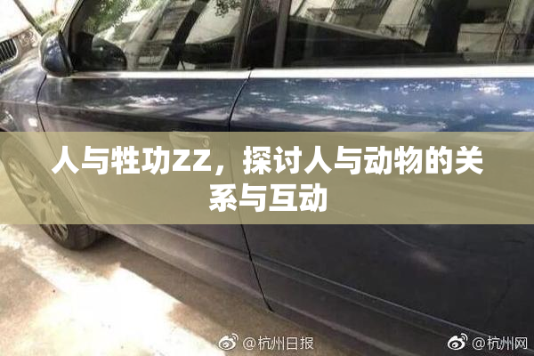 人与牲功ZZ，探讨人与动物的关系与互动