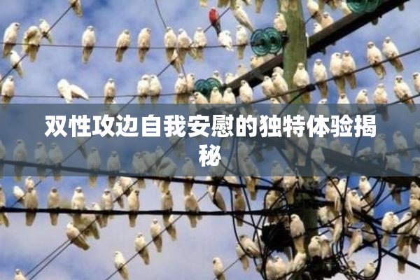 双性攻边自我安慰的独特体验揭秘