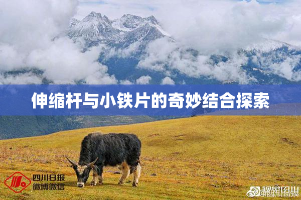 伸缩杆与小铁片的奇妙结合探索