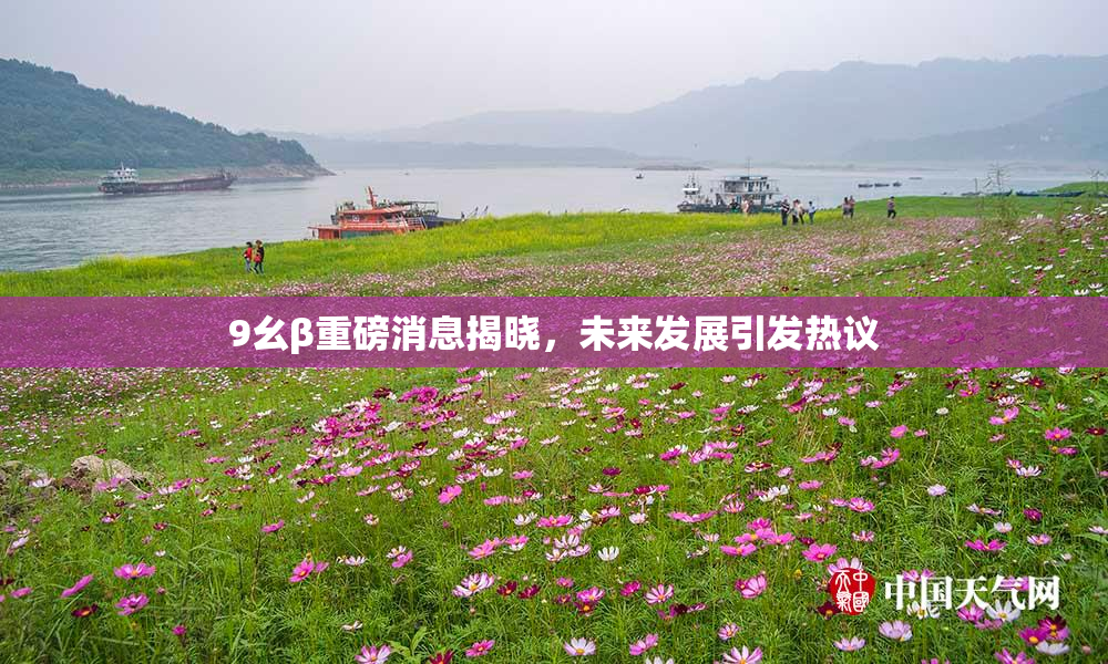 9幺β重磅消息揭晓，未来发展引发热议