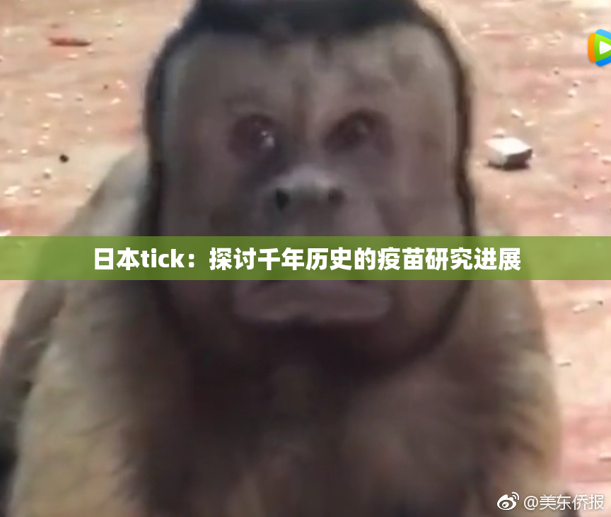 日本tick：探讨千年历史的疫苗研究进展