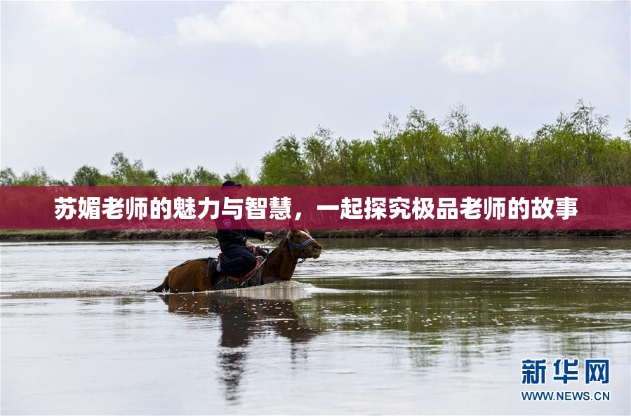 苏媚老师的魅力与智慧，一起探究极品老师的故事