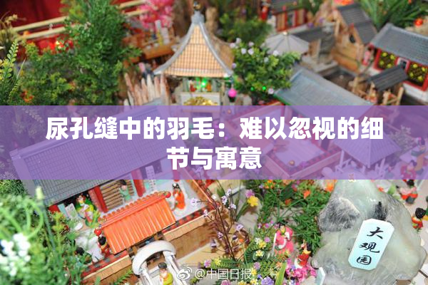 尿孔缝中的羽毛：难以忽视的细节与寓意