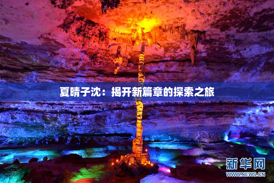 夏晴子沈：揭开新篇章的探索之旅