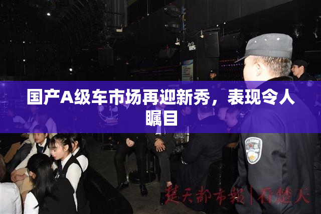 国产A级车市场再迎新秀，表现令人瞩目