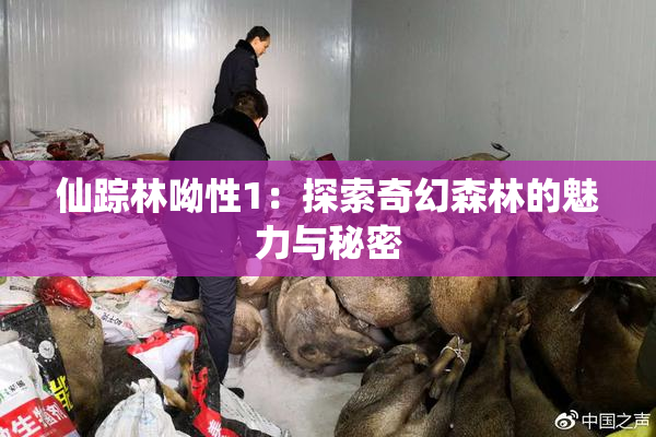 仙踪林呦性1：探索奇幻森林的魅力与秘密