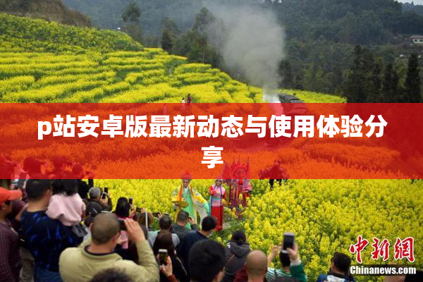 p站安卓版最新动态与使用体验分享