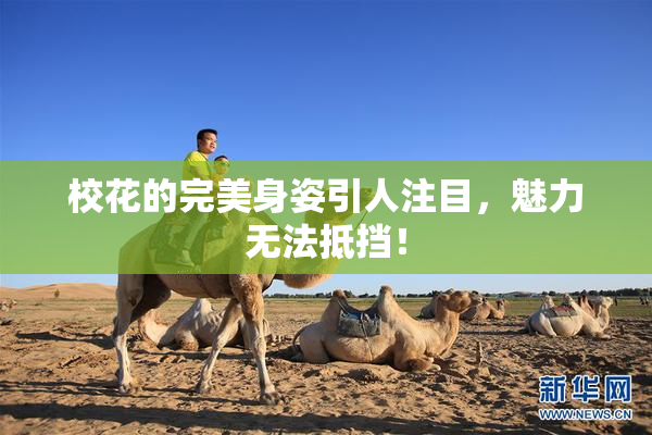 校花的完美身姿引人注目，魅力无法抵挡！