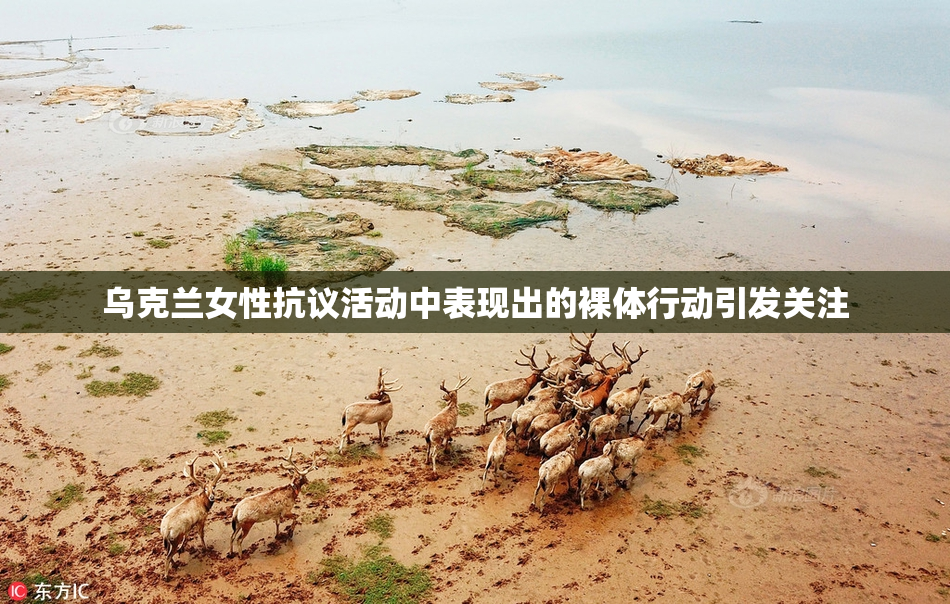 乌克兰女性抗议活动中表现出的裸体行动引发关注