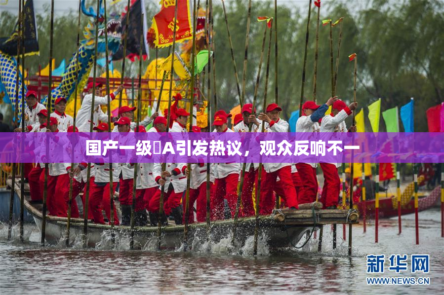 国产一级婬A引发热议，观众反响不一