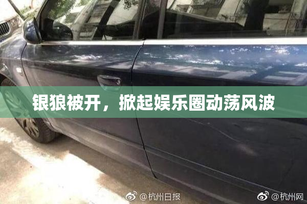 银狼被开，掀起娱乐圈动荡风波