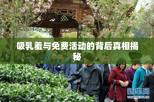 吸乳羞与免费活动的背后真相揭秘