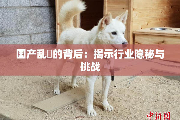 国产乱婬的背后：揭示行业隐秘与挑战