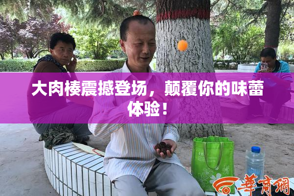 大肉楱震撼登场，颠覆你的味蕾体验！