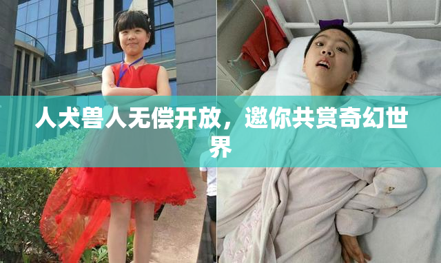 人犬兽人无偿开放，邀你共赏奇幻世界