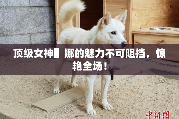 顶级女神▌娜的魅力不可阻挡，惊艳全场！