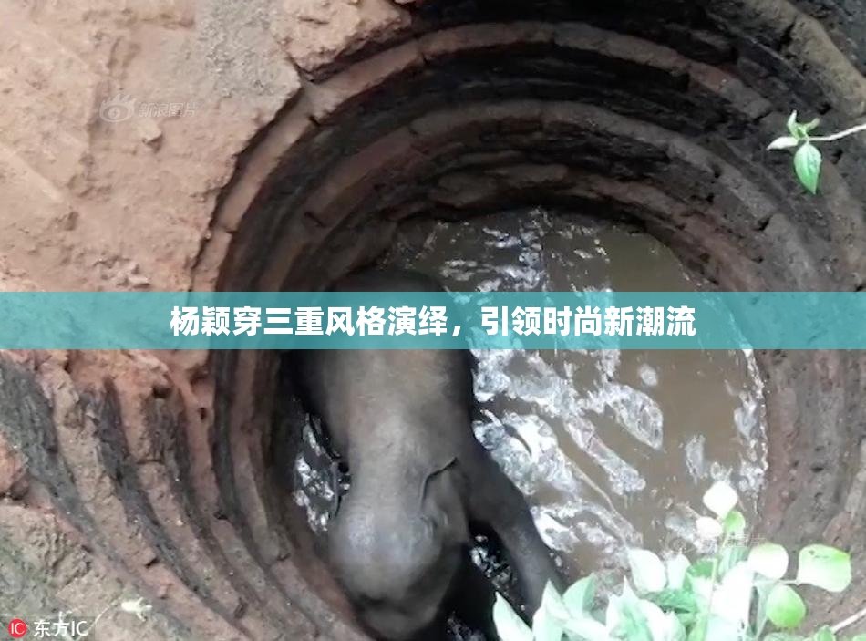 杨颖穿三重风格演绎，引领时尚新潮流